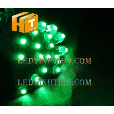 Led đúc F8 12V đầu trong xanh lá