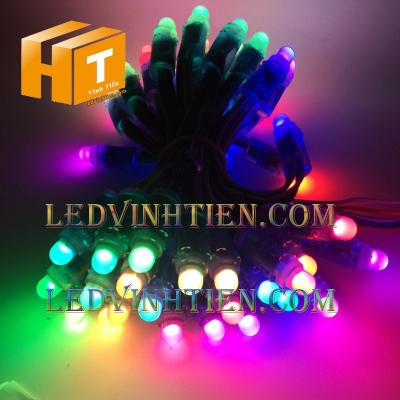 Bóng led đúc F8 đế 12 IC 1914
