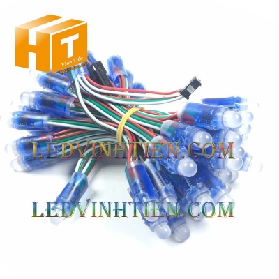 Bóng led đúc F8 đế 12 IC 2811