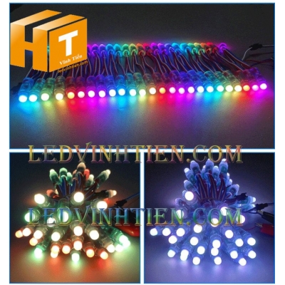 Led Đúc F8 RGB 5V