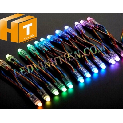 Led đúc 5V full color