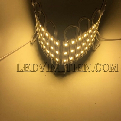 Led hắt 12V 5054 3 bóng warm white
