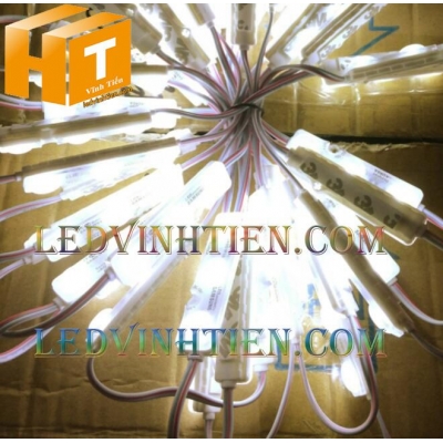 Led hắt 3 bóng saso màu trung tính