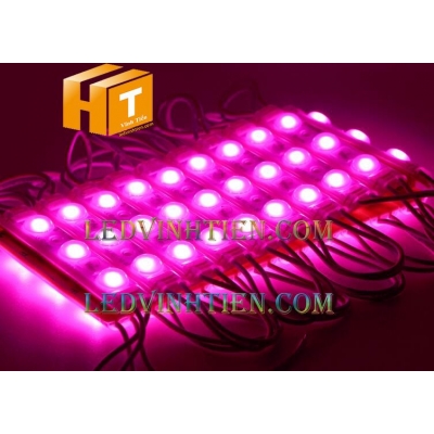 Led module 3 bóng lúp màu hồng