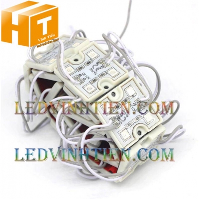 Led module 4 bóng 5050 đế nhựa xanh dương