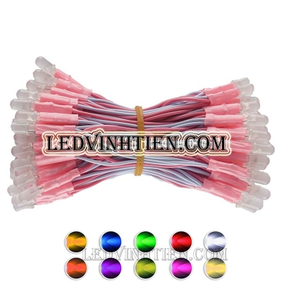 Led liền dây màu hồng