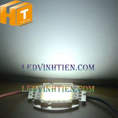 Tim đèn pha 20w màu trắng