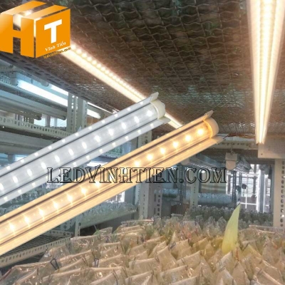 Đèn led nuôi cấy mô 1.2M Rạng Đông