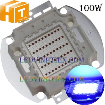 Tim đèn pha 100w xanh dương