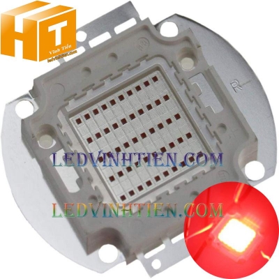 Tim đèn pha 30w màu đỏ