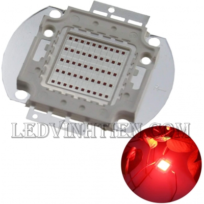 Tim đèn pha 50W màu đỏ