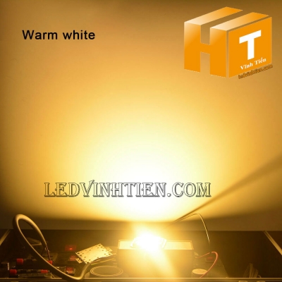 Tim đèn pha 50W màu vàng