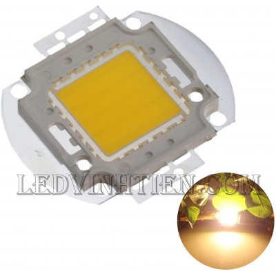 Tim đèn pha 50W màu vàng