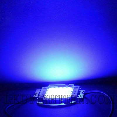 Tim đèn pha 50W xanh dương