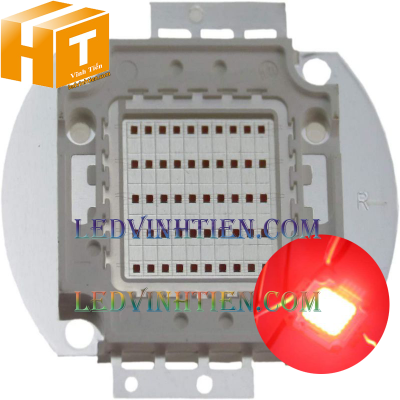 Tim đèn pha 20w màu đỏ