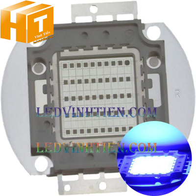 Tim đèn pha 20w xanh dương