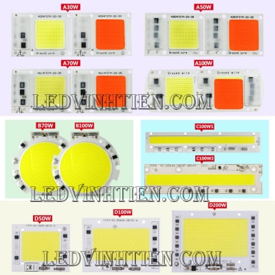 Driver led và tim đèn pha