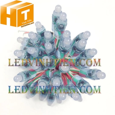 Bóng led đúc F8 đế 12 IC 1916