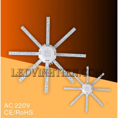 Led vòng 24w