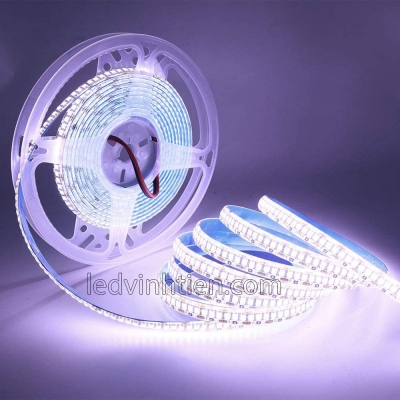 Led Dây 12V 2835 Màu Trắng