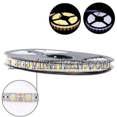 Led dây 24V 5050 màu vàng