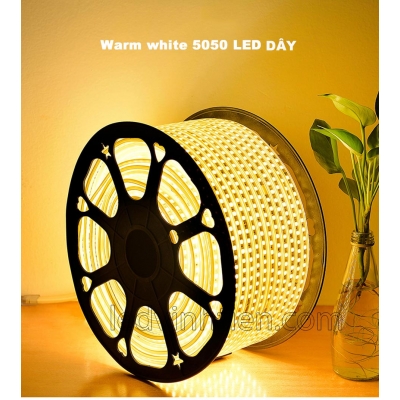 Led Dây 5050 220V Màu Vàng
